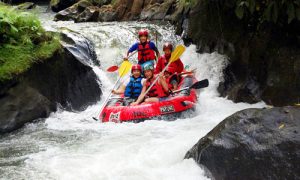 Paket Tour 1 Hari Rafting Ubud